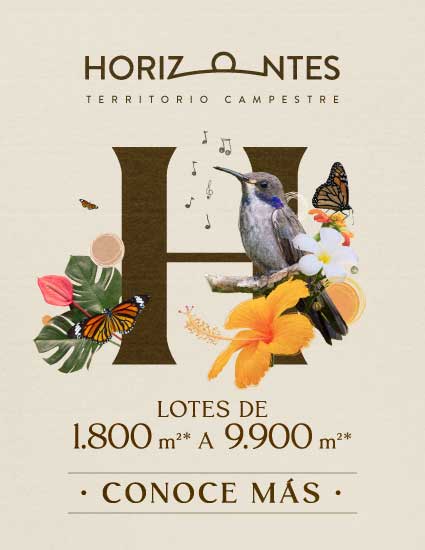 Banner Horizontes 1 - 2023
