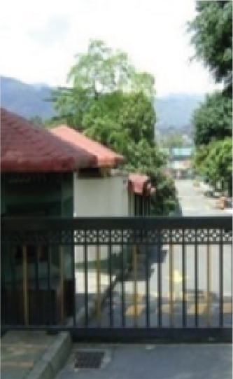 bosque de la aguacatala