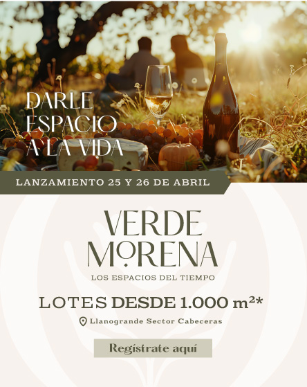 Banner de lanzamiento Verde Morena