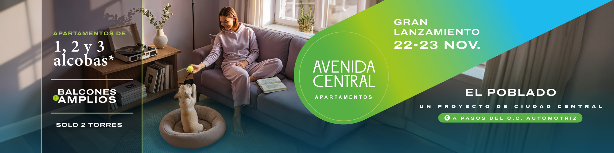 Banner Avenida Central